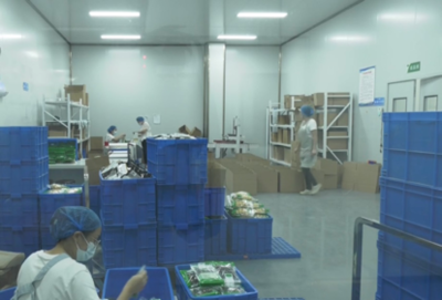 許昌市建安區河街鄉: 工廠建在家門口 就業增收有奔頭